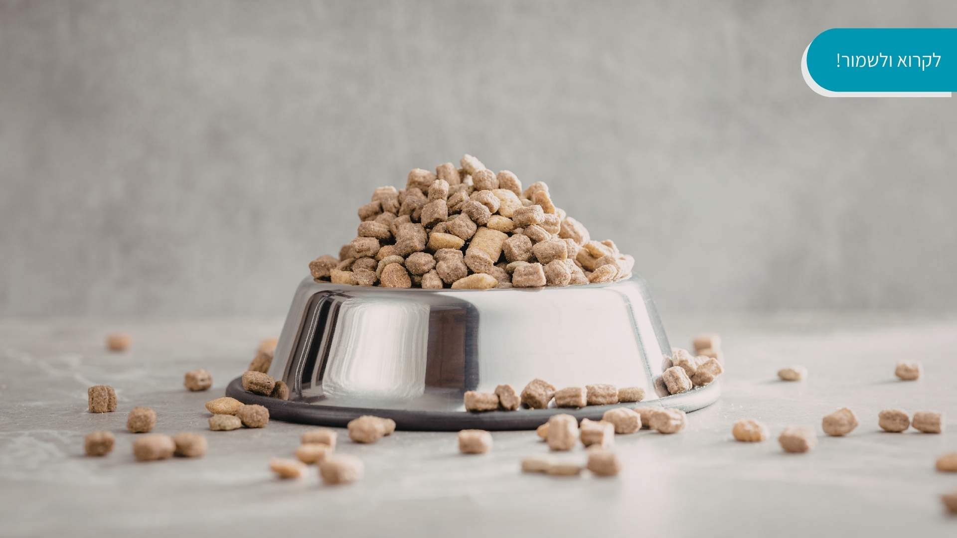 אוכל לכלבים